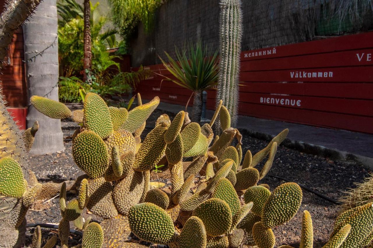 El Rincon Del Huroncillo Техина Экстерьер фото